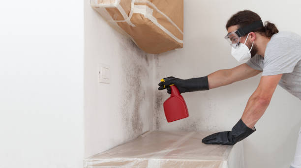 Professional Bathroom Mold Removal technician working in Hagerstown, MD