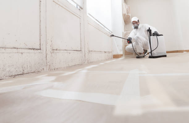 24/7 Emergency Bathroom Mold Removal experts in Hagerstown, MD