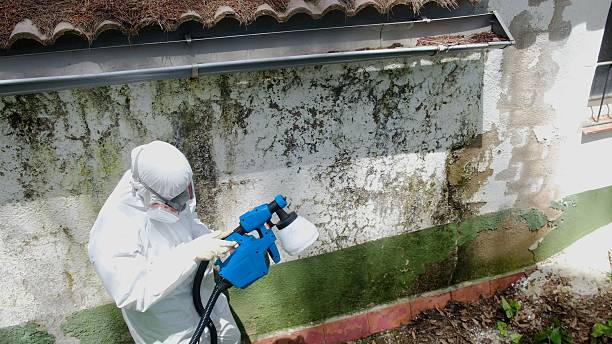 Top rated local Bathroom Mold Removal specialists in Hagerstown, MD